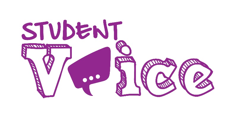 the words, student voice